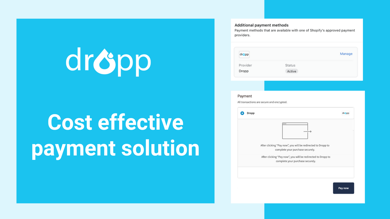 Dropp Pay - cost effective payment solution