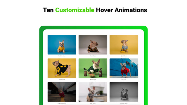 andra bildens hover-animation - hover-effektanimation