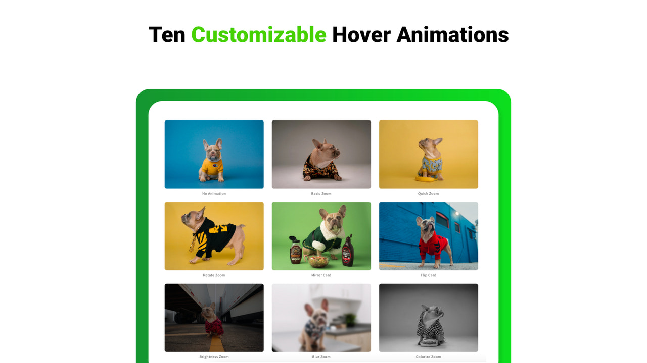 tweede afbeelding hover animatie - hover effect animatie