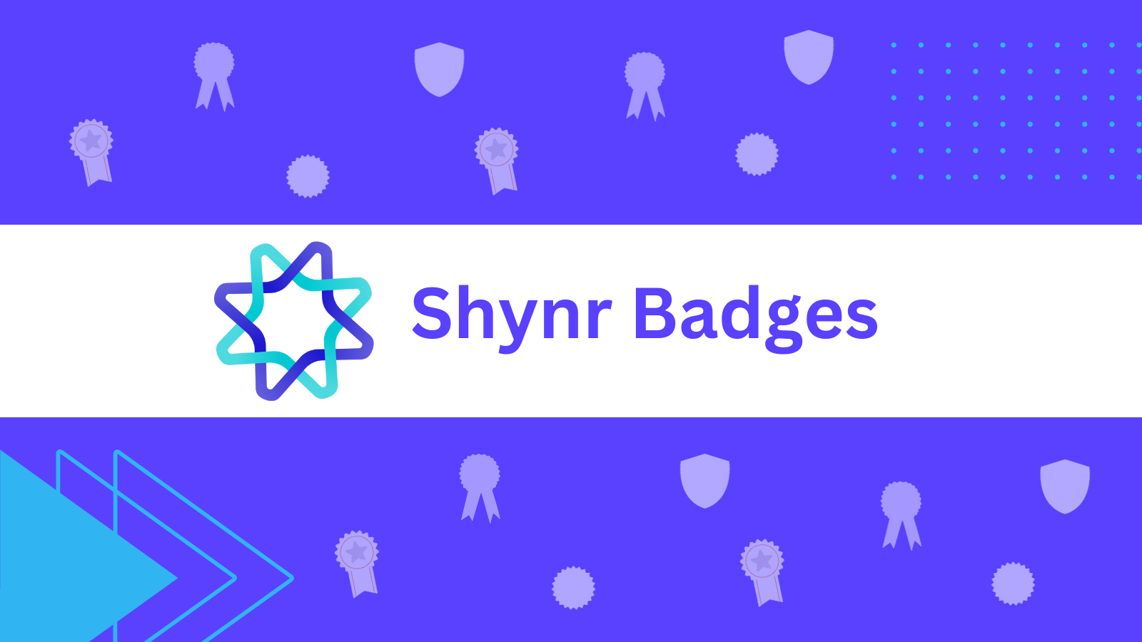 Shynr Badges Screenshot