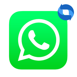Liquido: WhatsApp Store