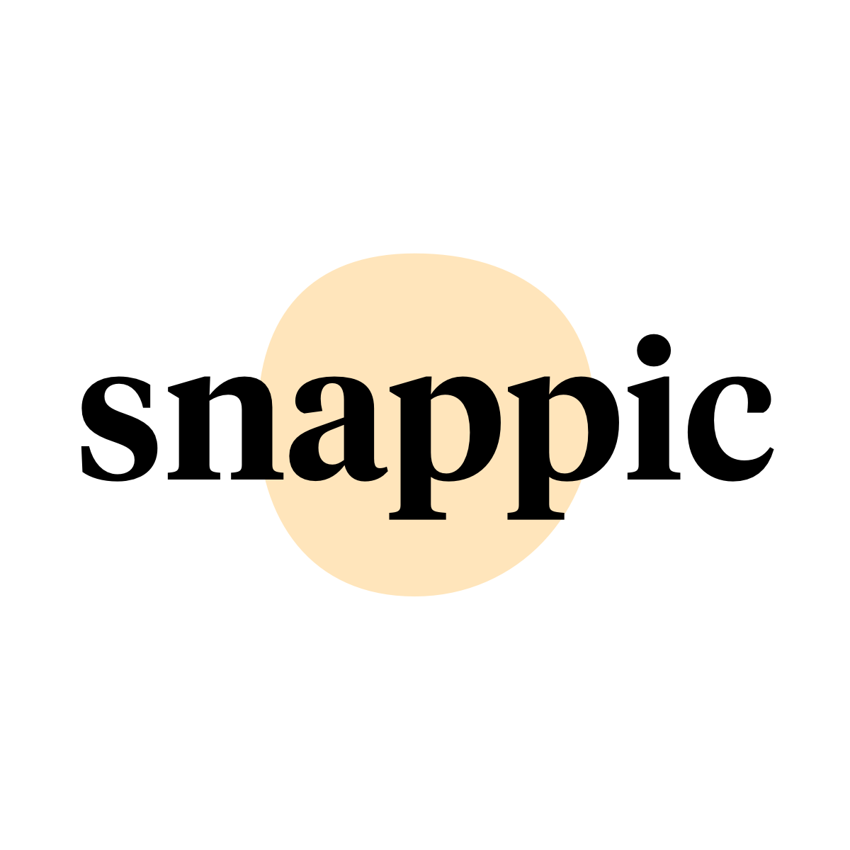 Snappic ‑ Instagram Ads