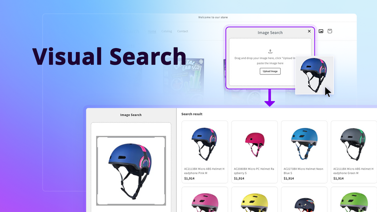 BIRSE: Visual Search Screenshot