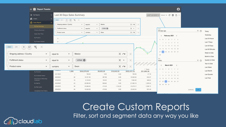 Report Toaster: Custom Reports Screenshot