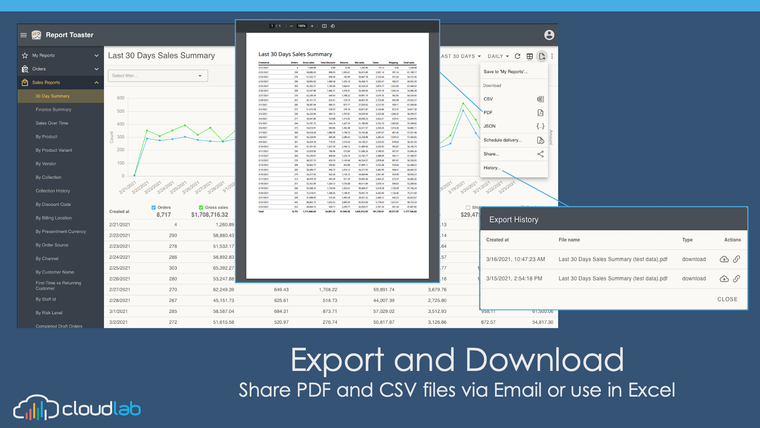 Report Toaster: Custom Reports Screenshot