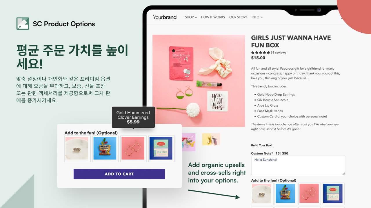 Bold 제품 옵션을 사용한 Brightboxes 추가 유료 옵션