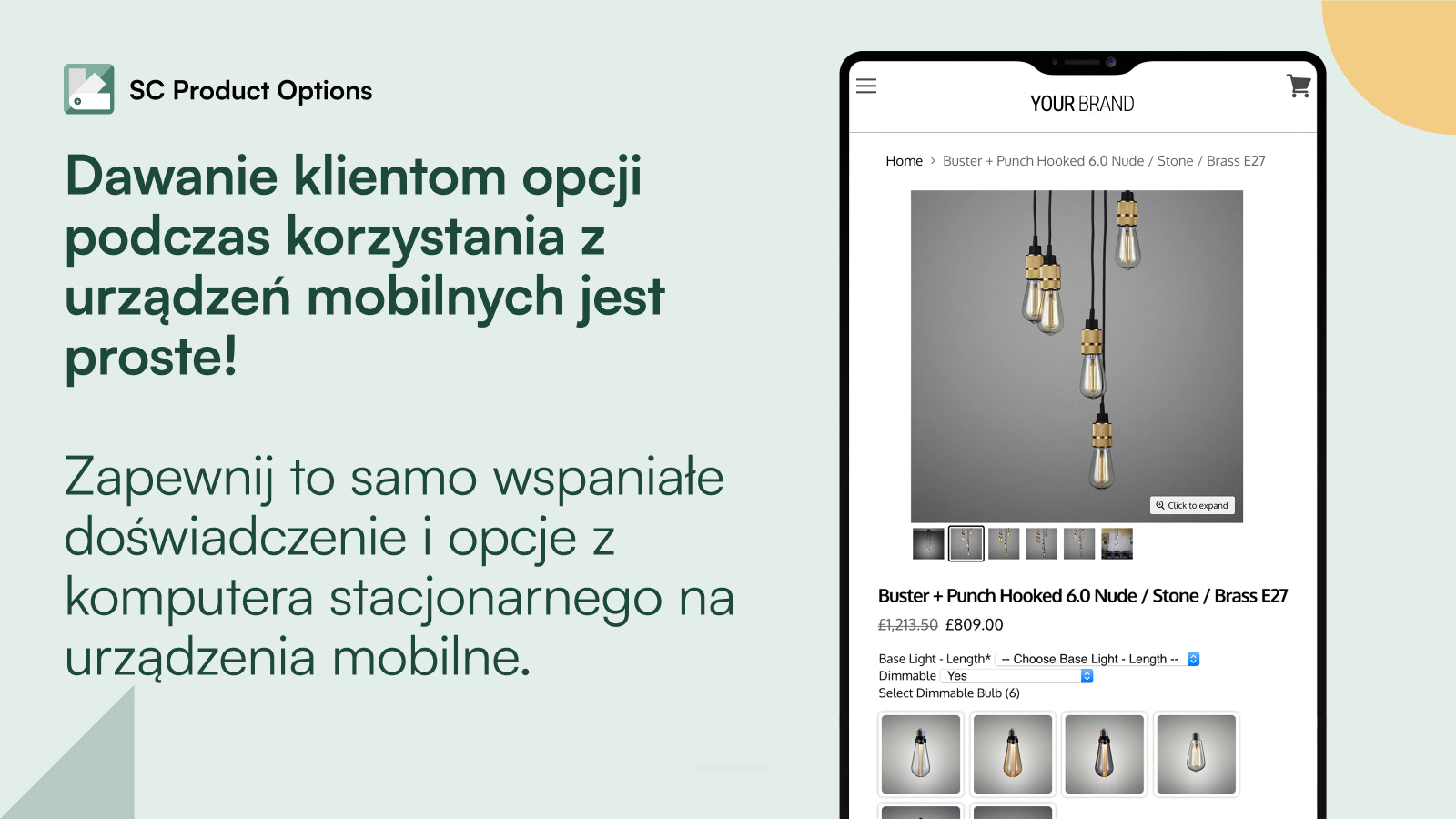 Mobilny widok opcji produktów Prisma Lighting