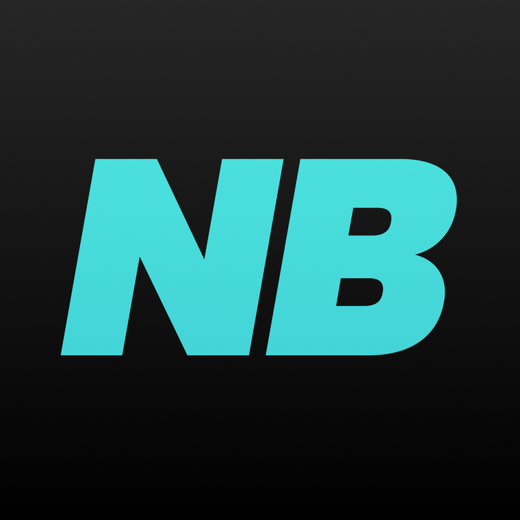 NicheBay ‑ Dropshipping & DTC