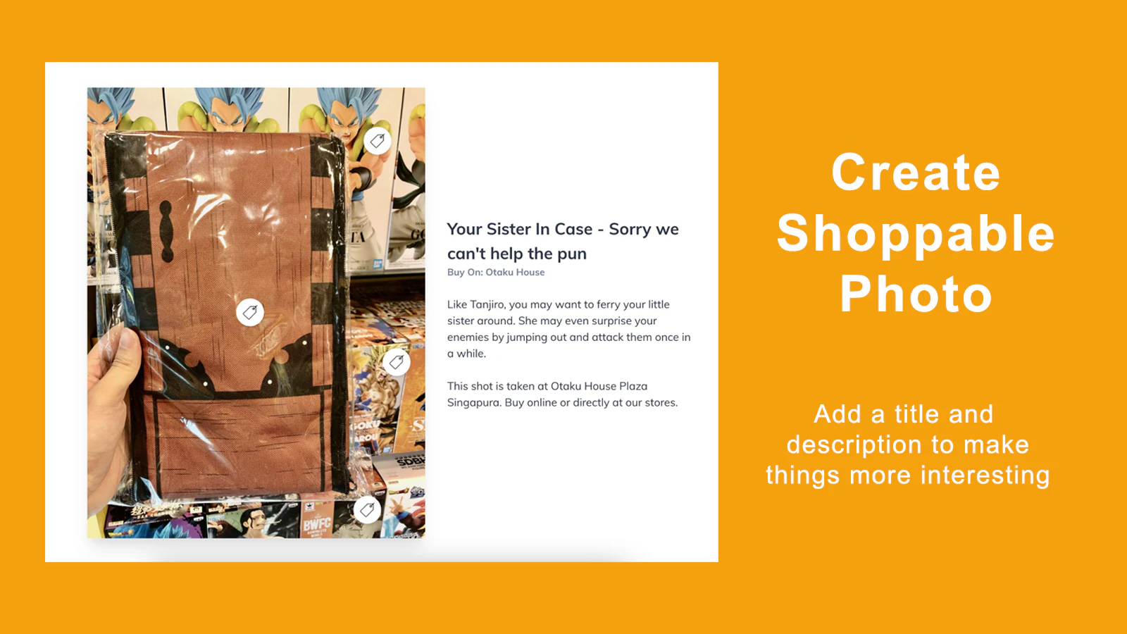 Shoppable Photo Page