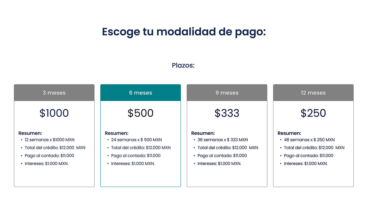 Your customers choose a payment plan and fill our credit form