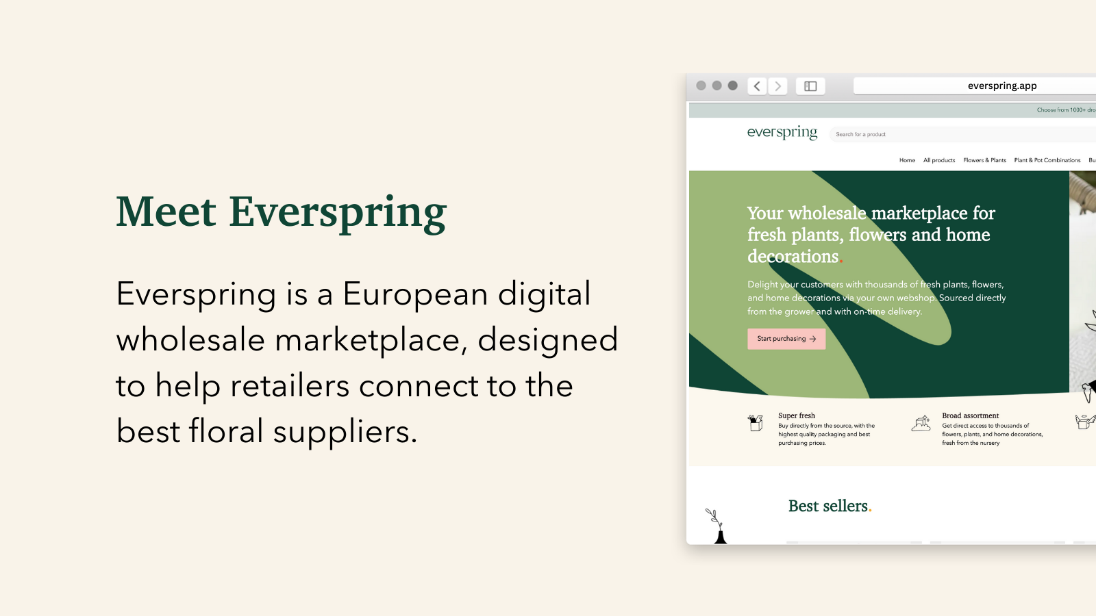 Europe's first B2B floral marketplace