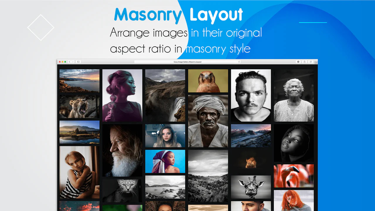 Cozy image Gallery (Grid, Masonry, Press, Lookbook)