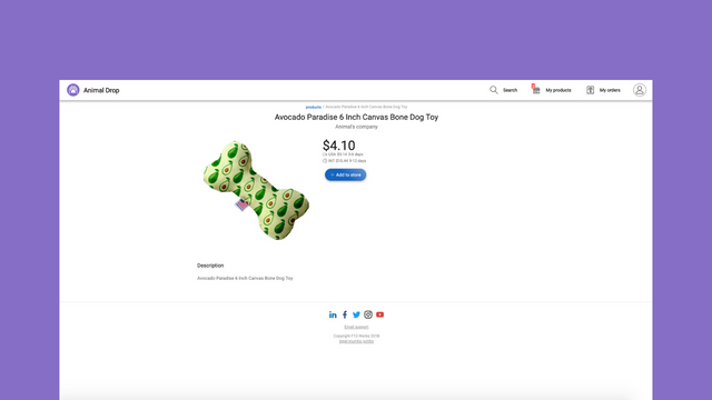 Product Details Page