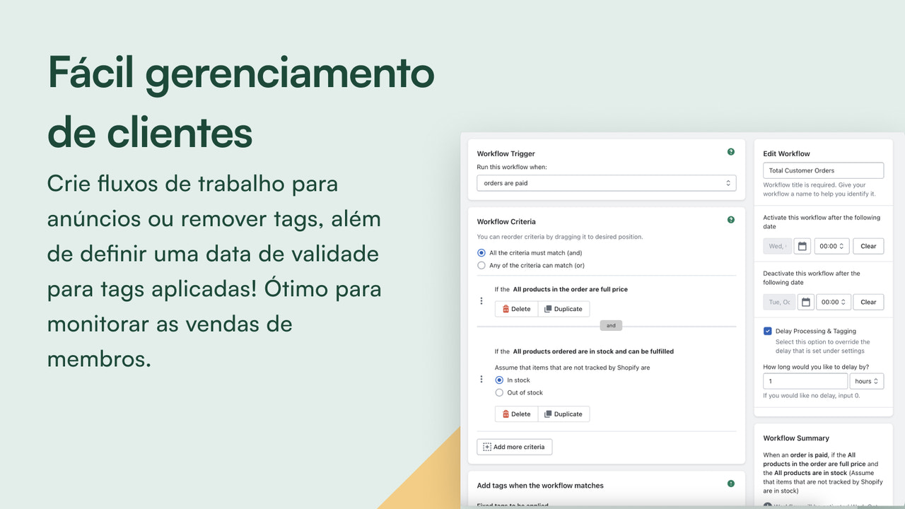 Acompanhe os pedidos processados ​​para tags e regras aplicadas.