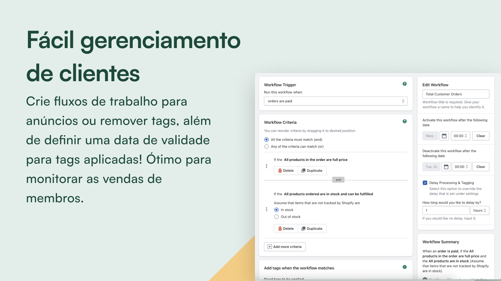 Acompanhe os pedidos processados ​​para tags e regras aplicadas.