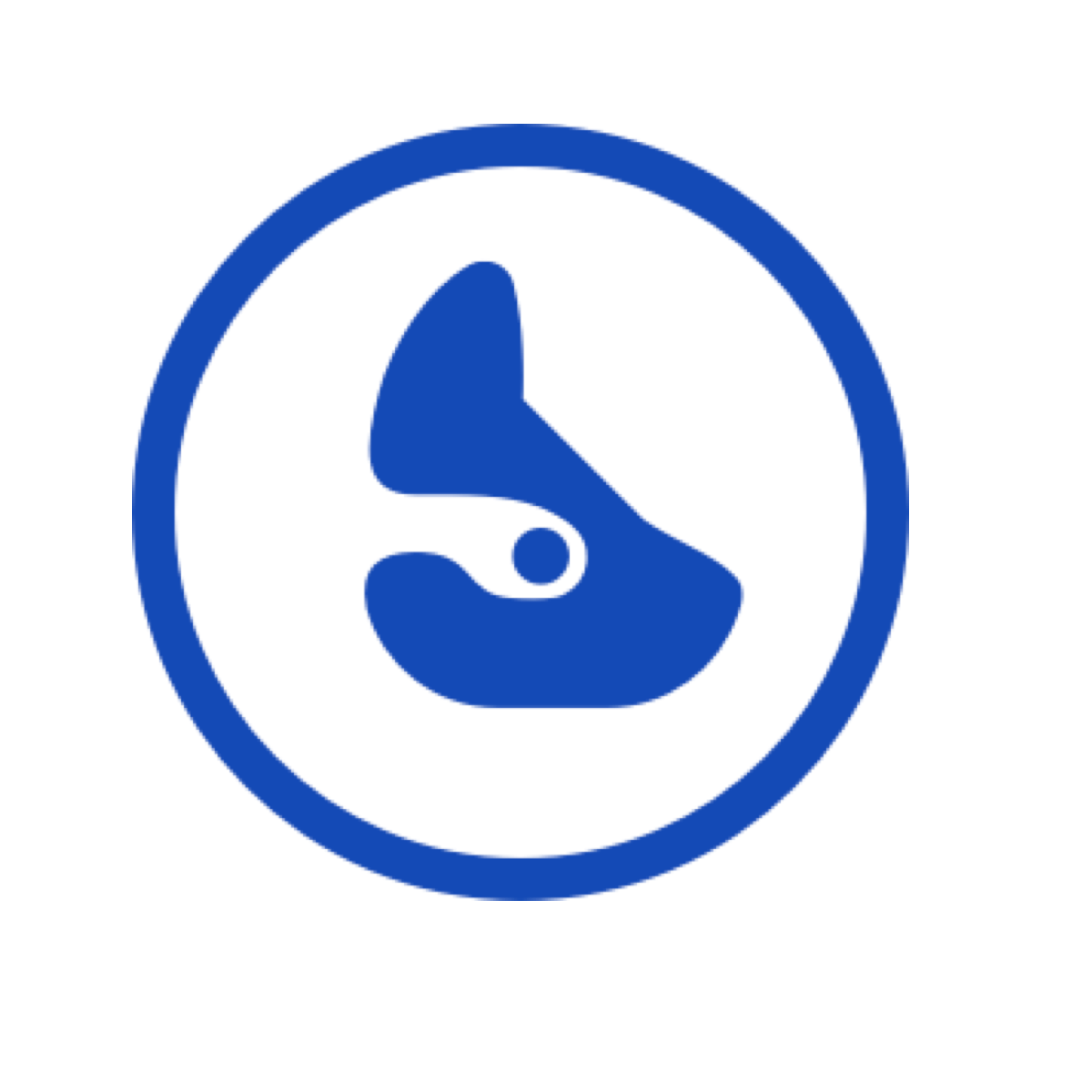 shopify app icon