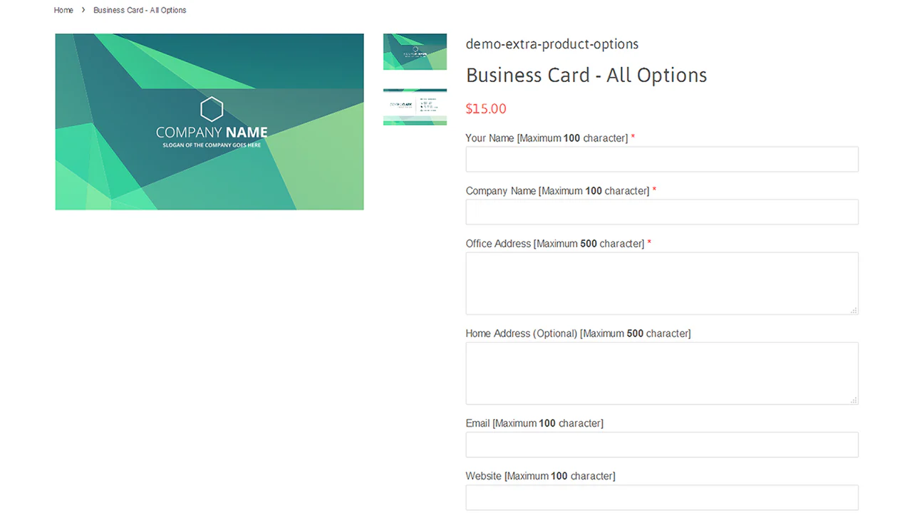 Product option inputs in product details page