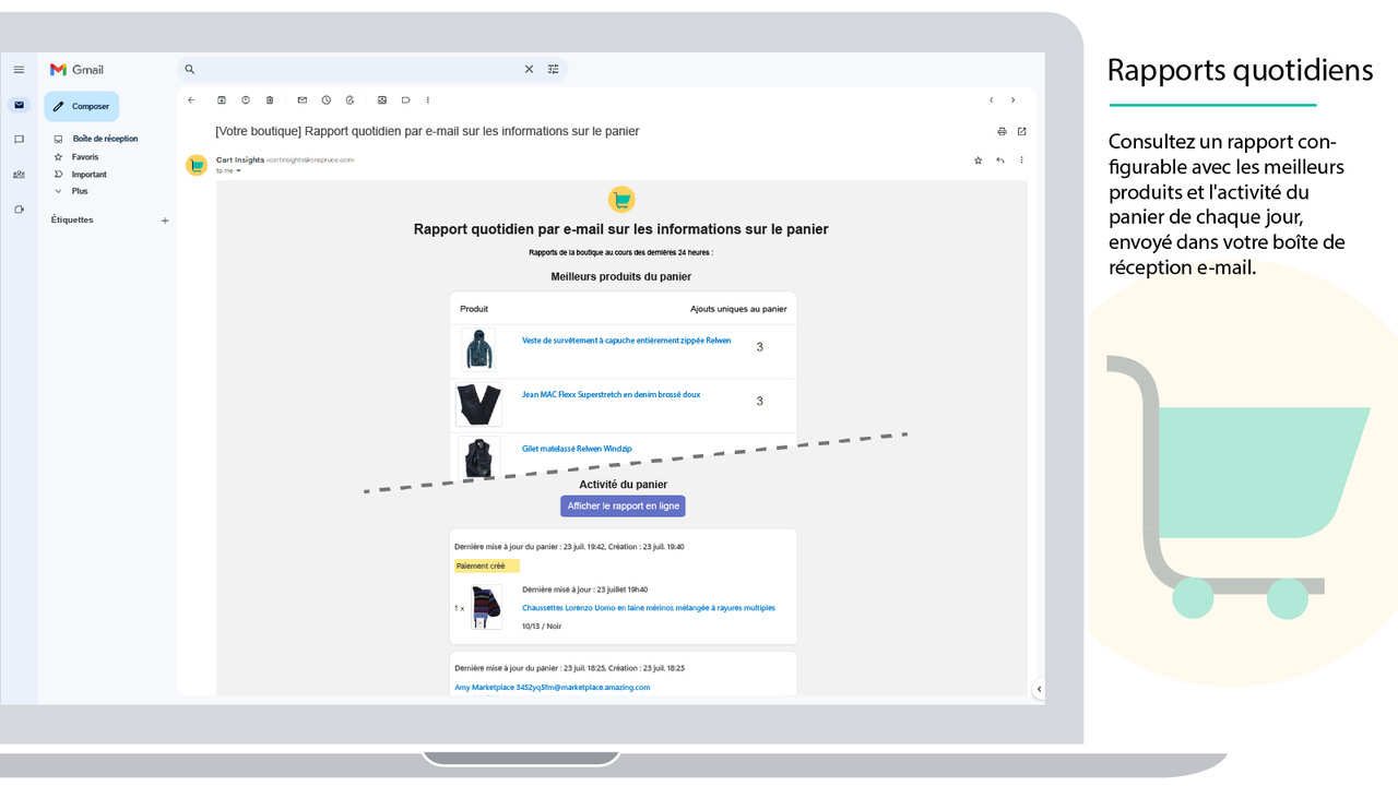 Le rapport quotidien Cart Insights s'affiche dans Gmail