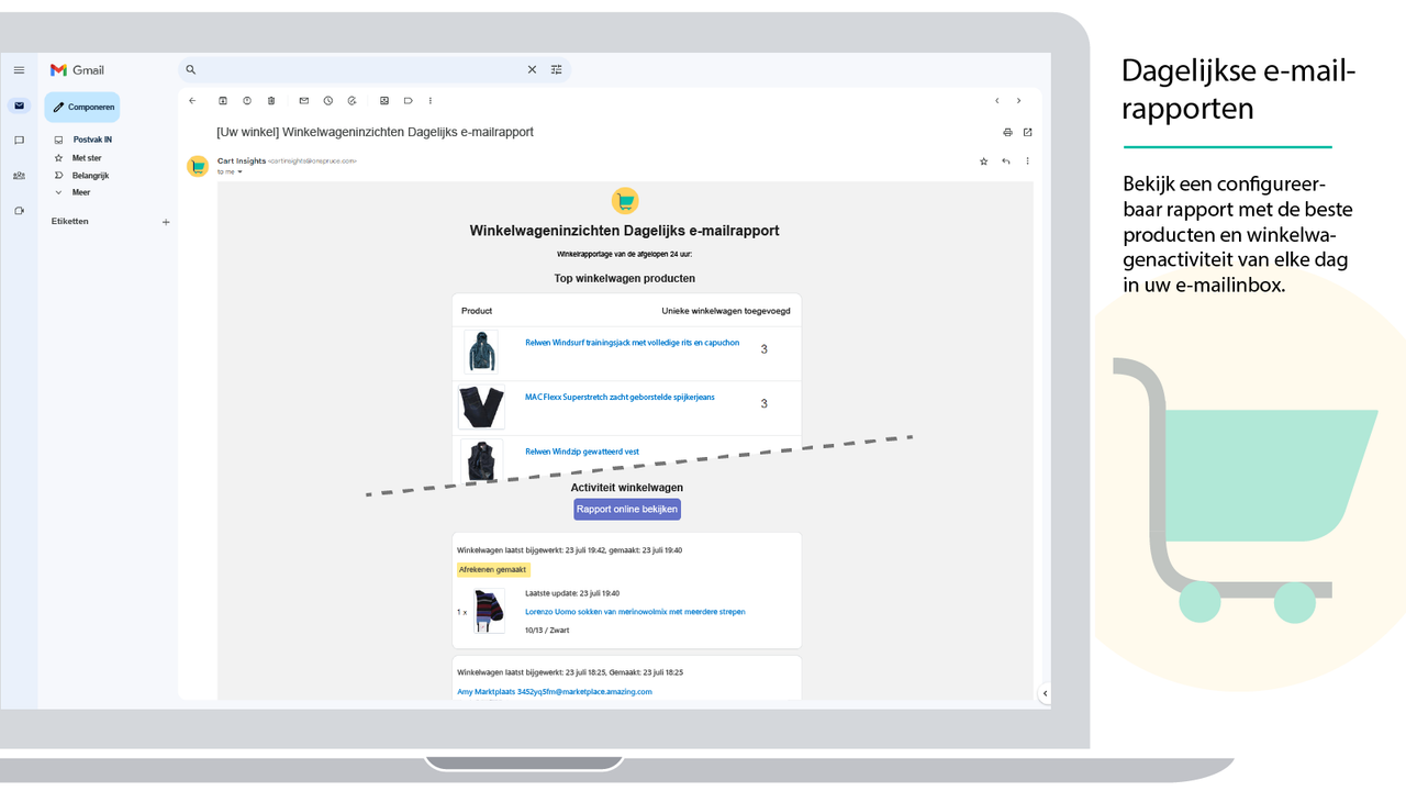 Het Cart Insights Daily Report wordt weergegeven in Gmail
