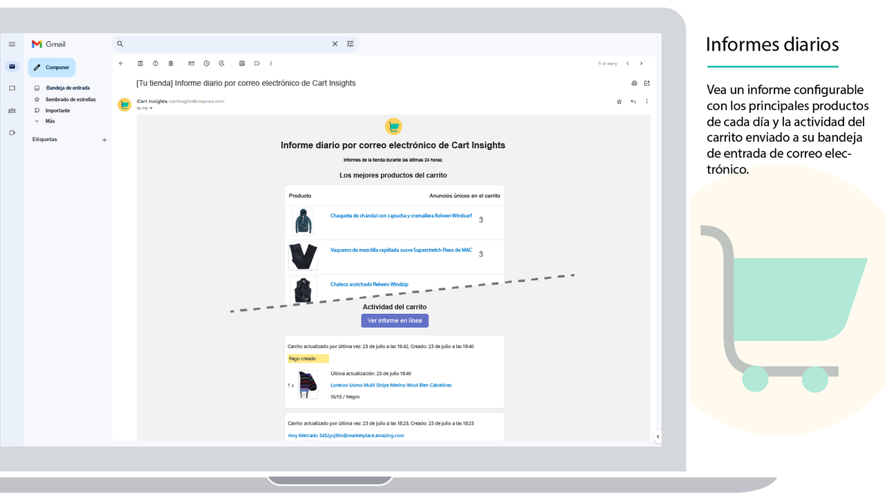 El informe diario Cart Insights en el cliente de Gmail