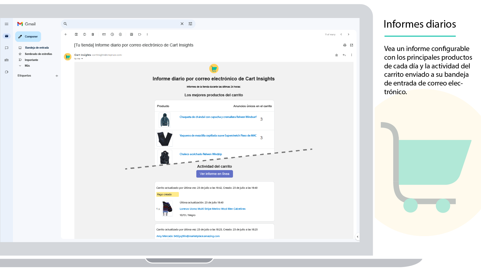 El informe diario Cart Insights en el cliente de Gmail