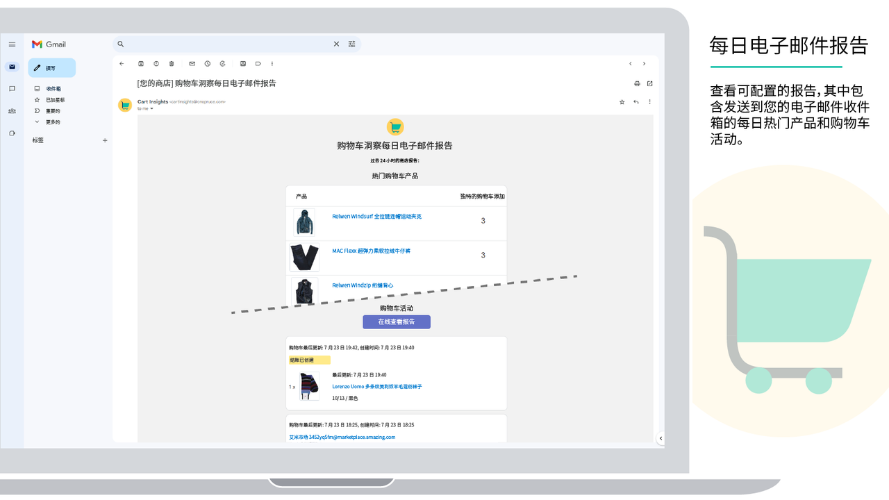 购物车洞察每日报告显示在 Gmail 客户端中