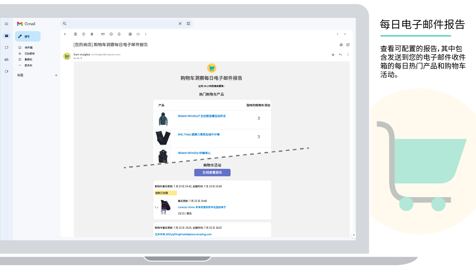 购物车洞察每日报告显示在 Gmail 客户端中
