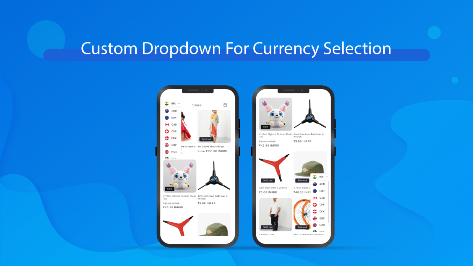 Custom Dropdown for Currency Selection