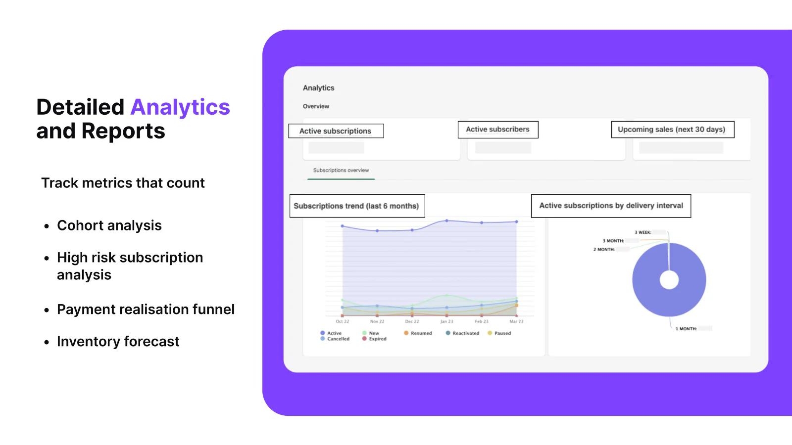 Track subscription KPIs/metrics using analytics and reports