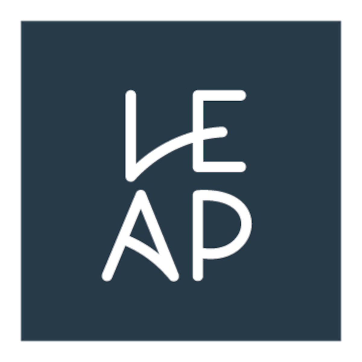 Leap Retail