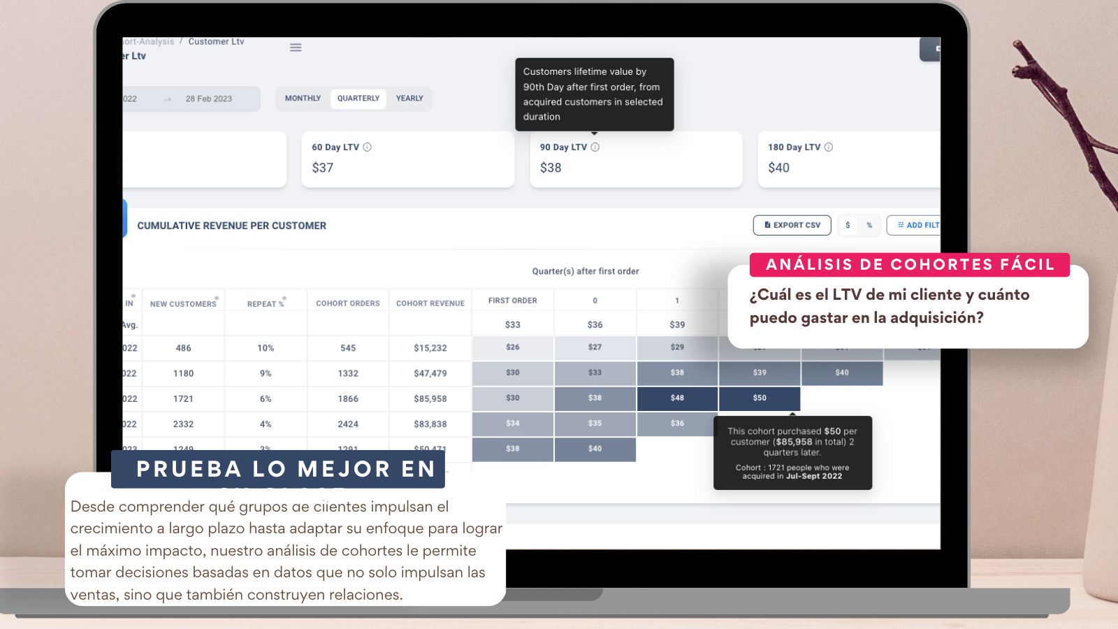 Análisis de cohorte avanzado de clientes