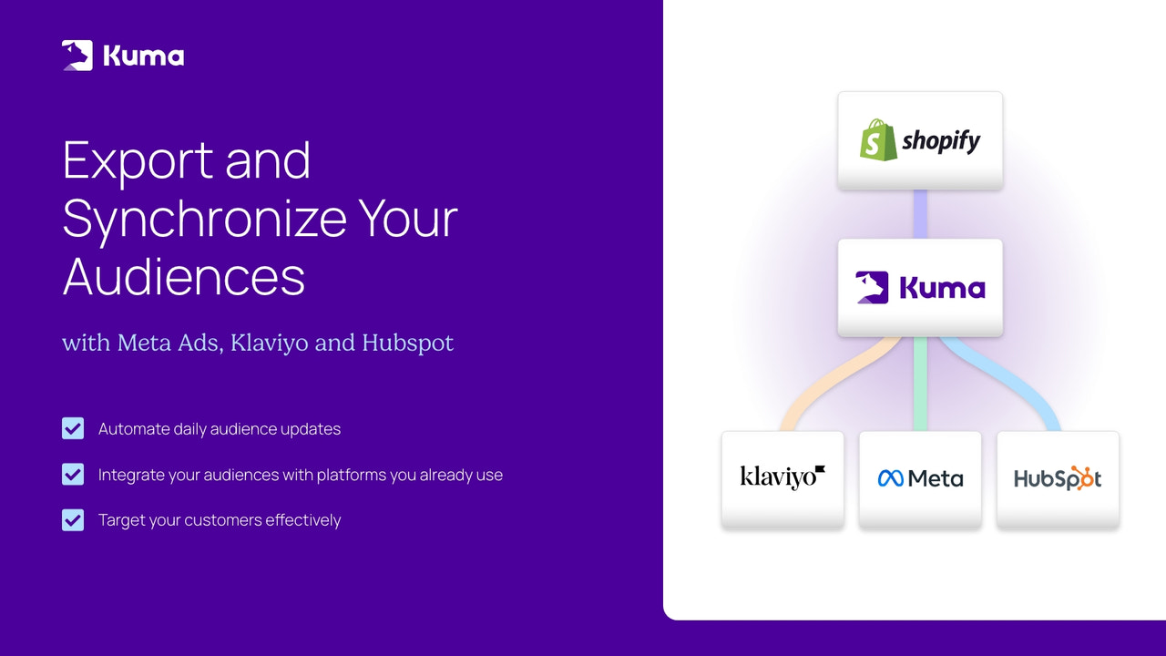 Audience Synchronization With Klaviyo, HubSpot and Meta Ads