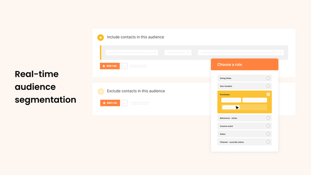 Real-time audience segmentation image