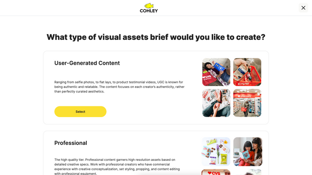 Create a new visual asset brief