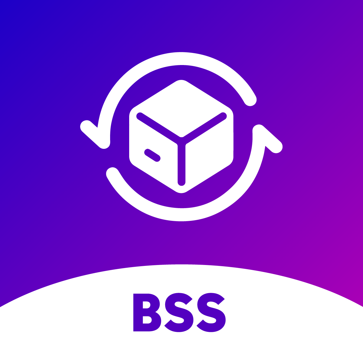 BSS: B2B Subscriptions for Shopify