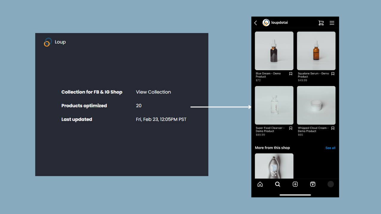 Transformez la boutique Shopify en boutique Instagram