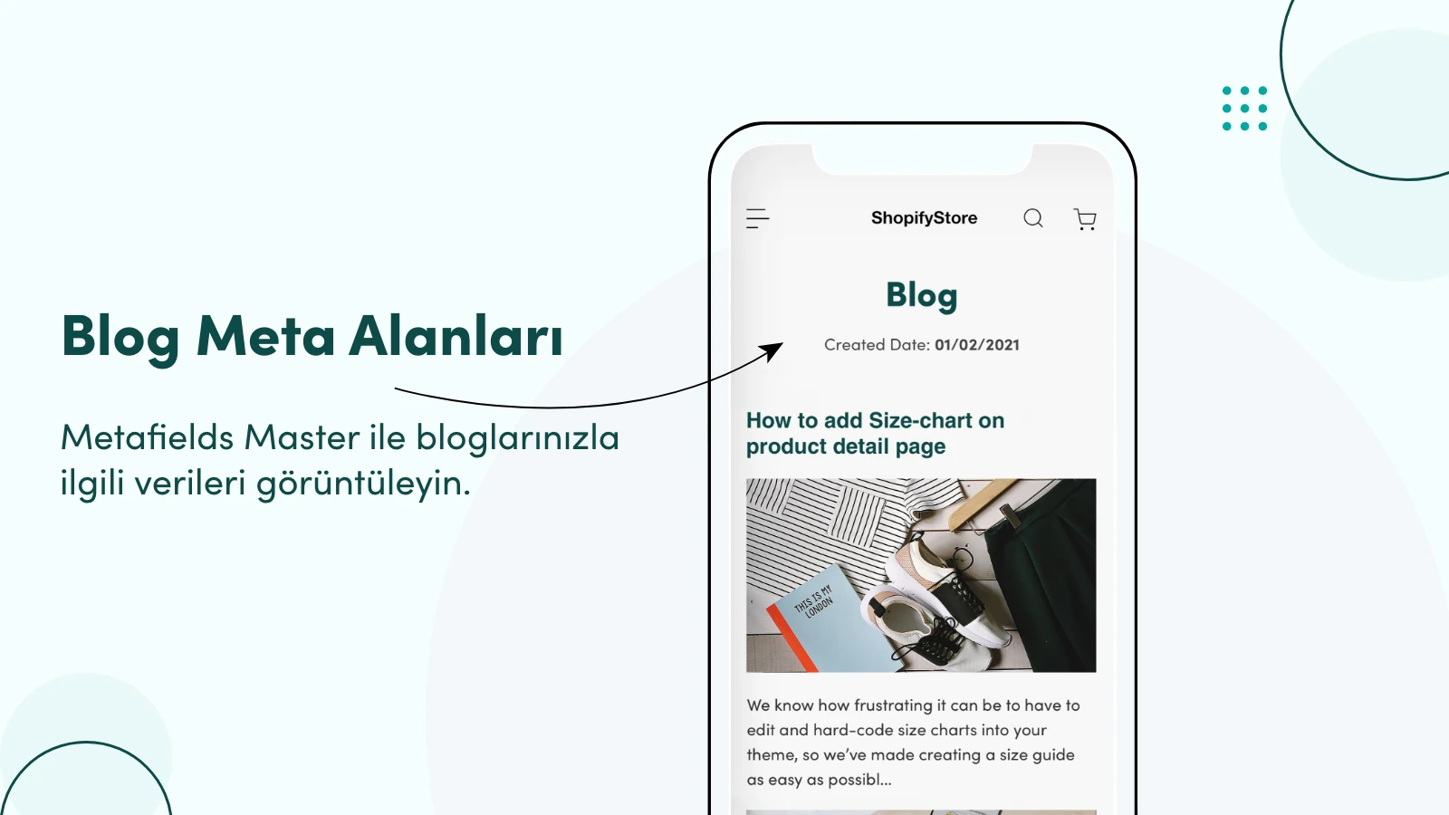 Blog Meta Alanları