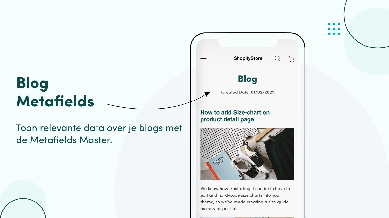 Blog Metafields