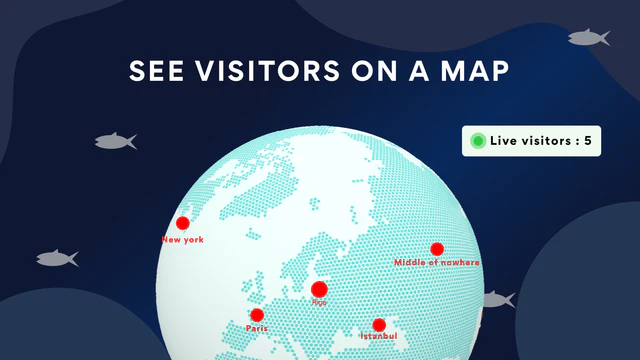 see real time visitors on the map 