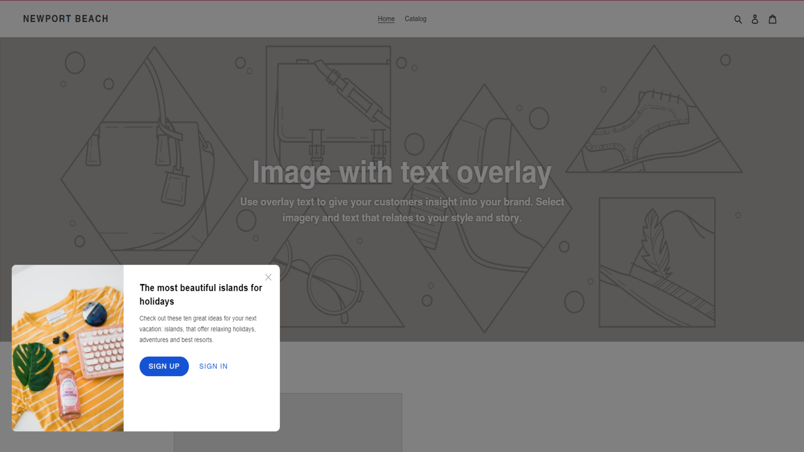 Drodl: Create Smart Exit Popup Screenshot