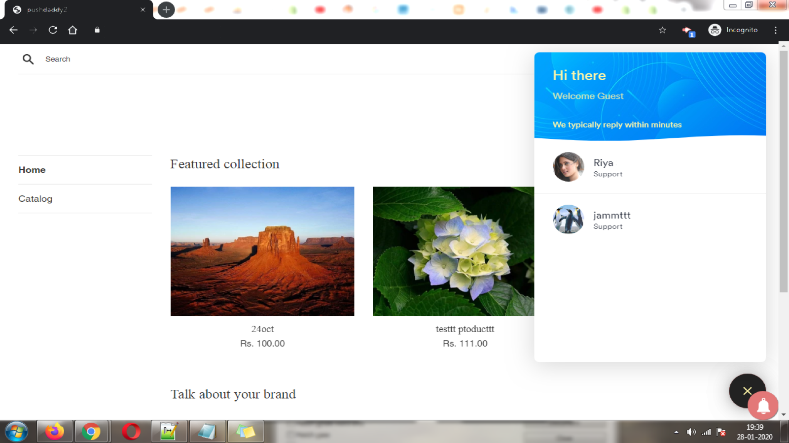 Chat Window
