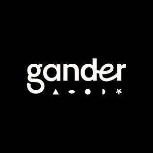 Gander: Convert with Video