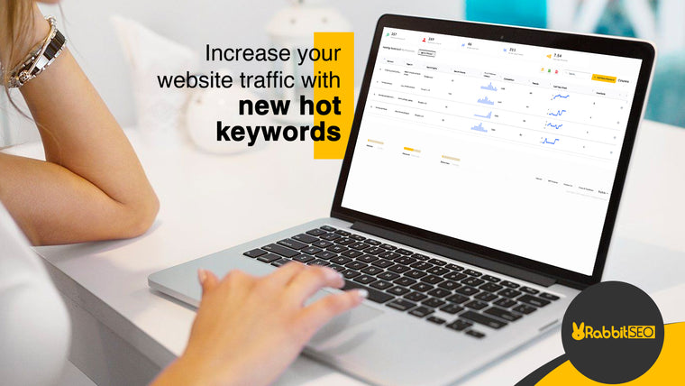 Rabbit SEO Traffic Booster Screenshot