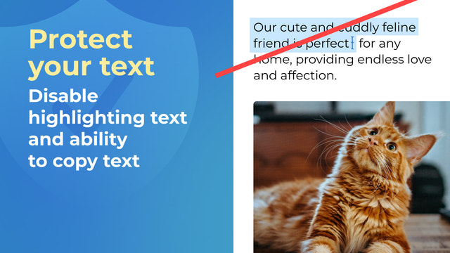 Bescherm uw tekst: Schakel het markeren van tekst en de mogelijkheid om te kopiëren uit