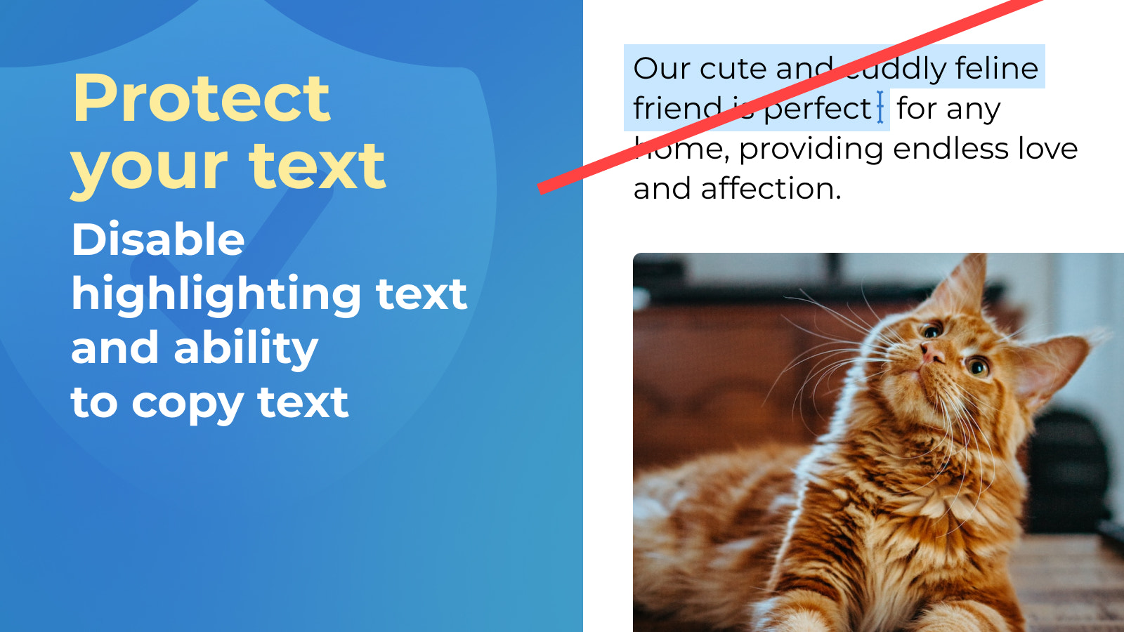 Protégez votre texte : Désactivez la mise en évidence du texte et la possibilité de copier