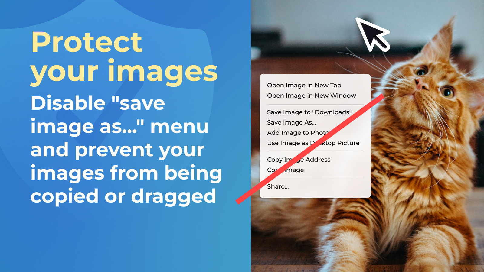 Protect your images: Disable save image as and more
