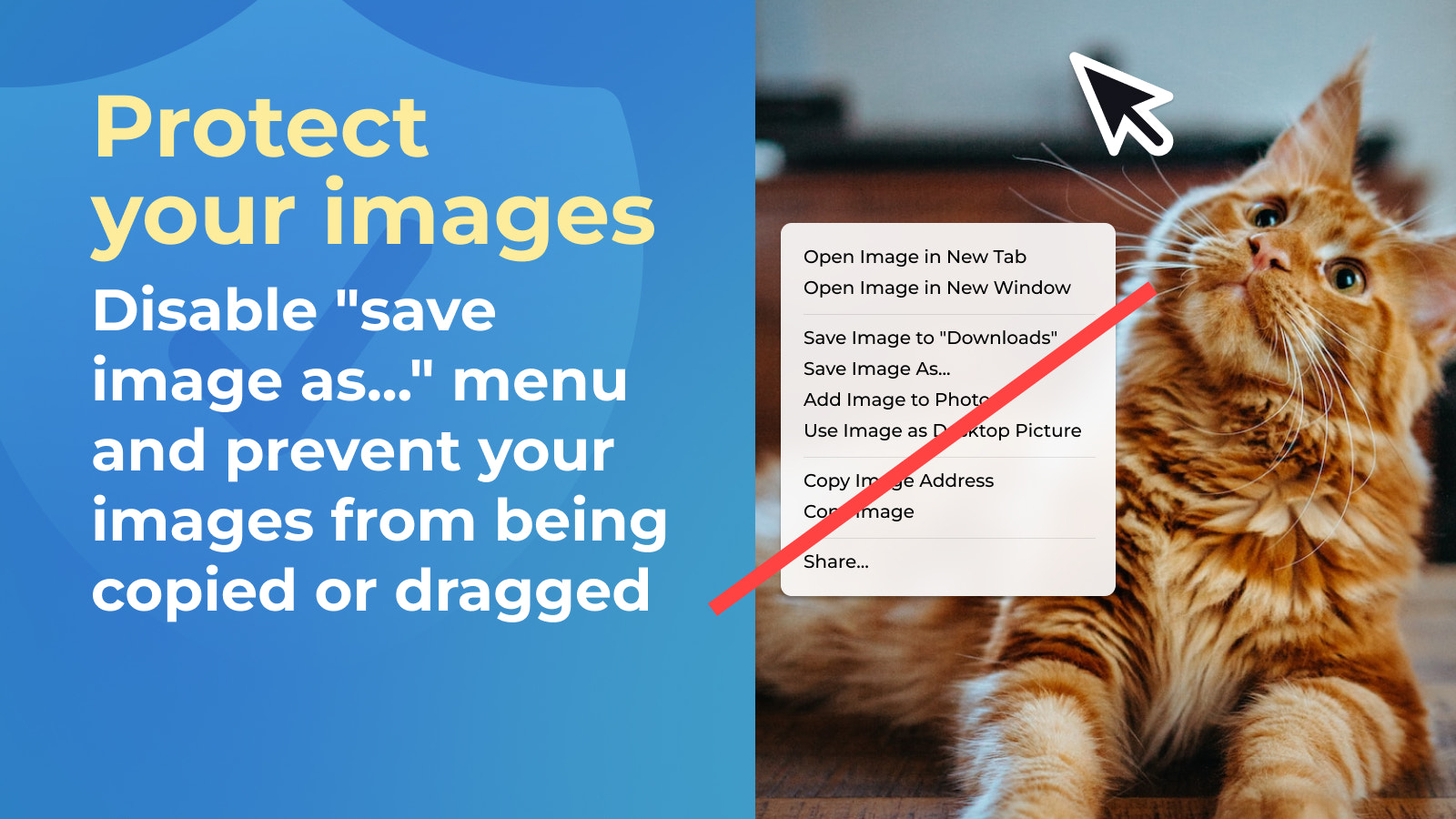 Protege tus imágenes: Deshabilita guardar imagen como y más