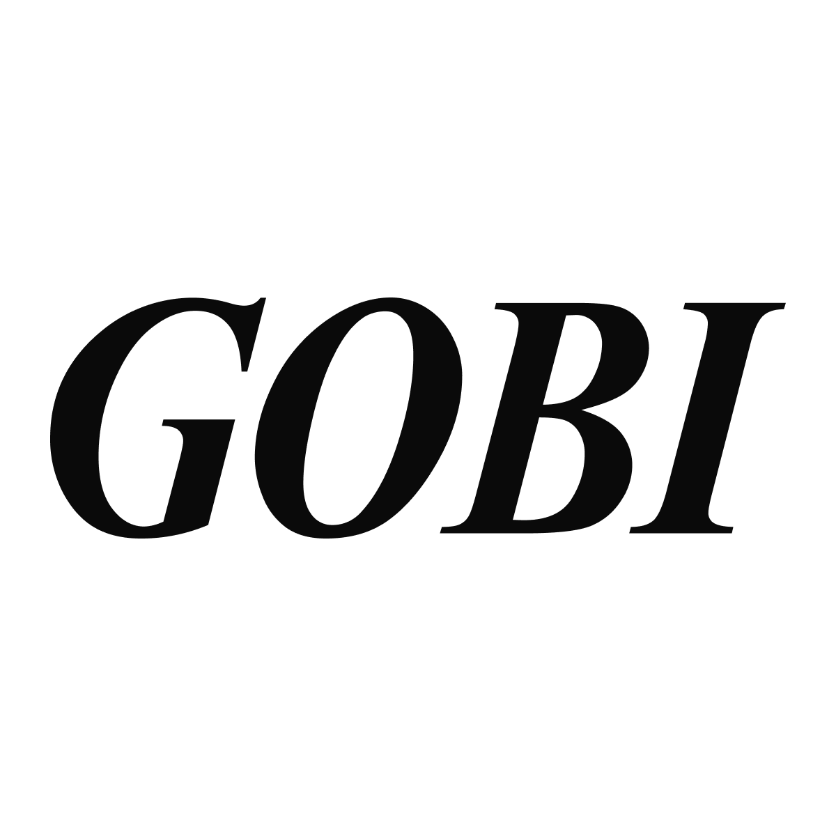 Gobi Order printer