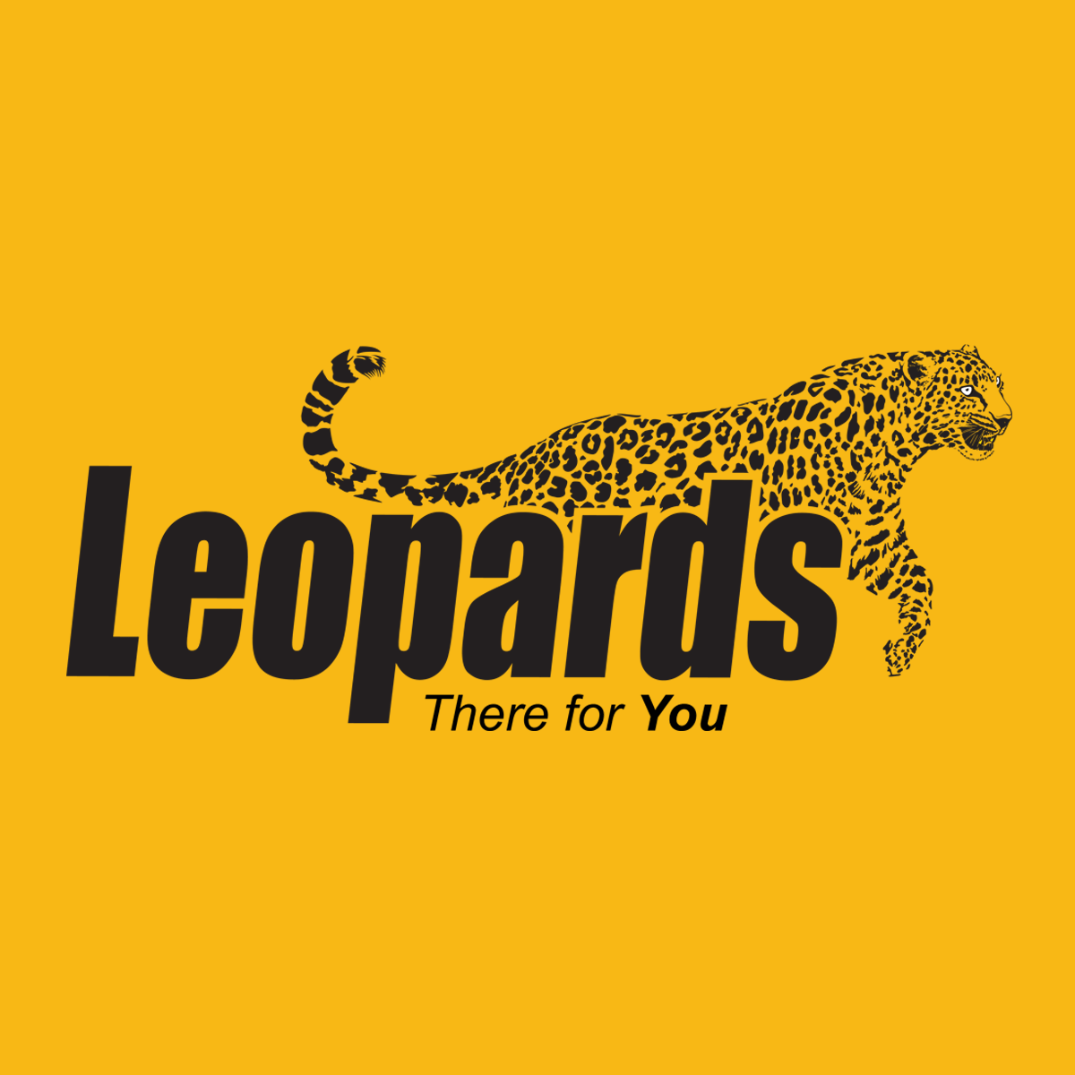 Hire Shopify Experts to integrate Leopards Courier app into a Shopify store
