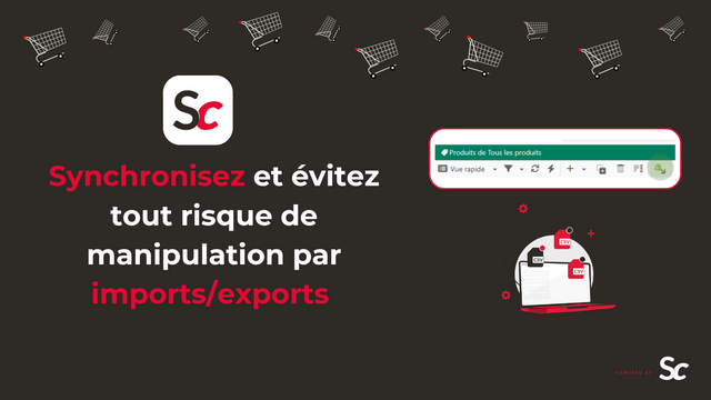 Synchronisez et minimisez les manipulations par imports/exports